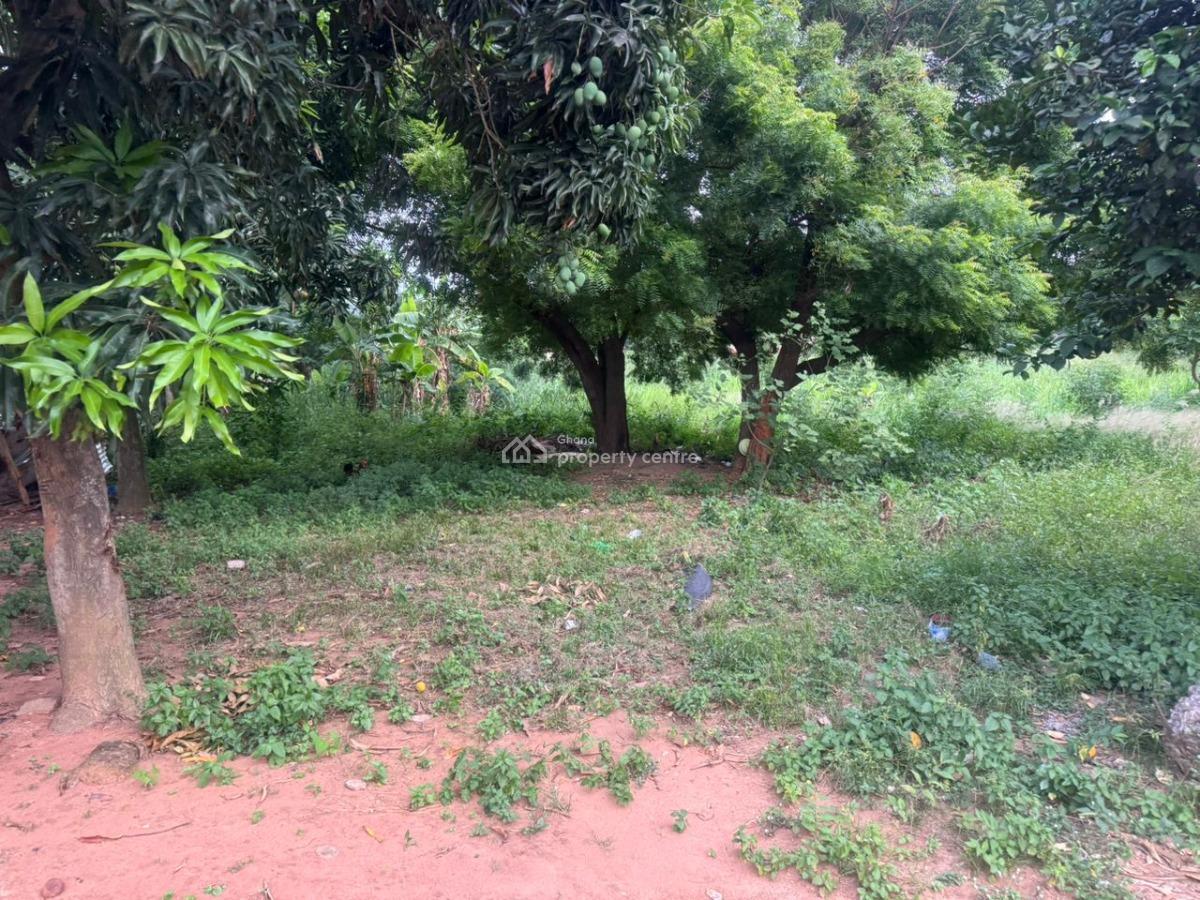 3 Plots of Land, Lomnava, Sowutuom, Ga Central Municipal, Accra, Land for Sale