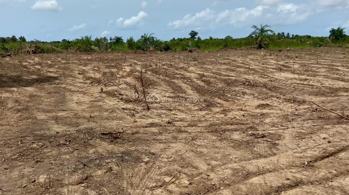 Riverfront Land in Big Ada Angornya Ghana  High-growth Property, Ada Foah - Big Ada Road, Aqua Safari, Kasseh Ada, Ada Foah, Ada East, Accra, Mixed-use Land for Sale