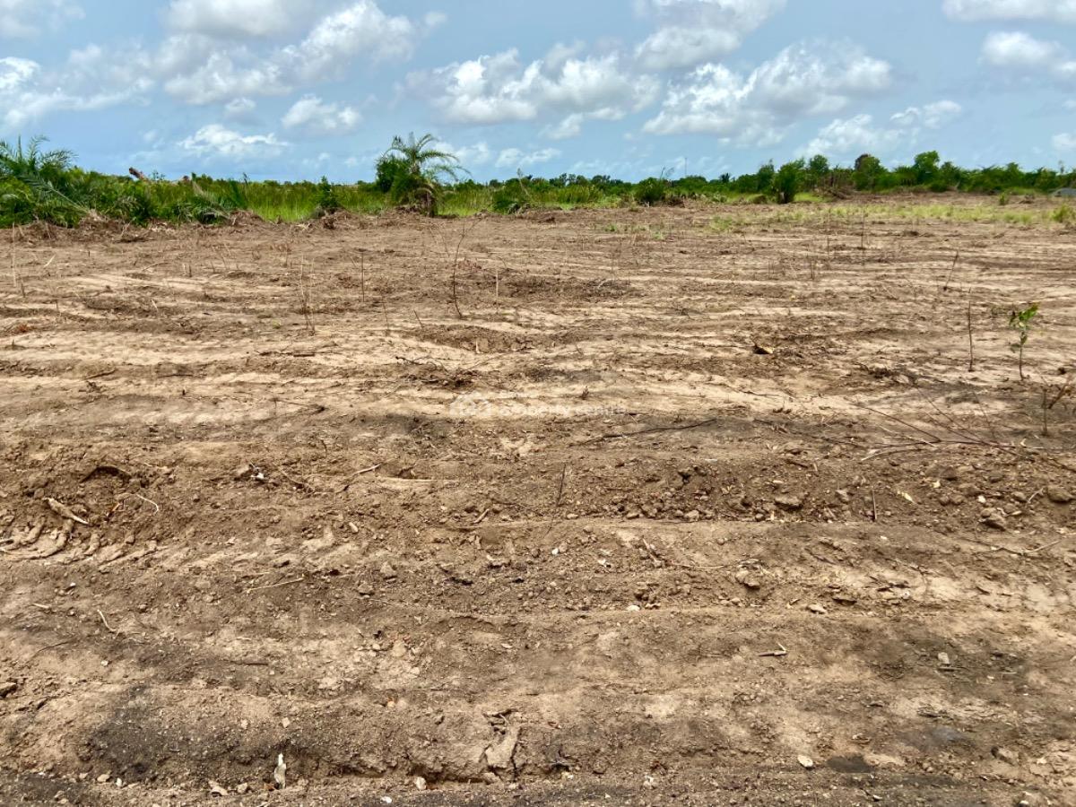 Riverfront Land in Big Ada Angornya Ghana  High-growth Property, Ada Foah - Big Ada Road, Aqua Safari, Kasseh Ada, Ada Foah, Ada East, Accra, Mixed-use Land for Sale