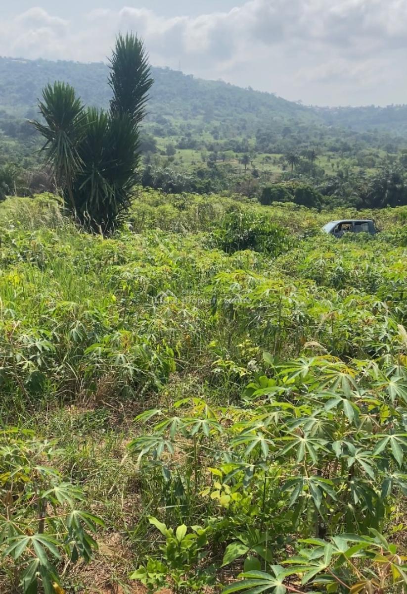 60 Acres Farm Land on Mountain, Adukrom, Akuapim North, Eastern Region, Mixed-use Land for Sale
