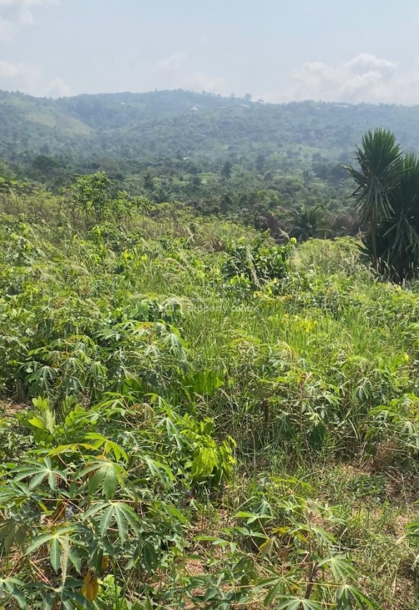 60 Acres Farm Land on Mountain, Adukrom, Akuapim North, Eastern Region, Mixed-use Land for Sale