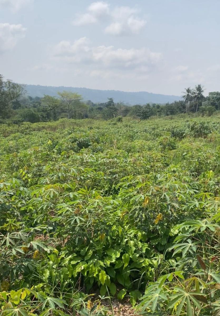 60 Acres Farm Land on Mountain, Adukrom, Akuapim North, Eastern Region, Mixed-use Land for Sale