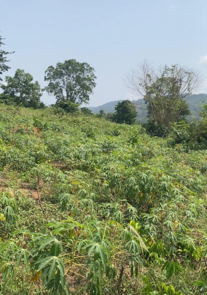60 Acres Farm Land on Mountain, Adukrom, Akuapim North, Eastern Region, Mixed-use Land for Sale