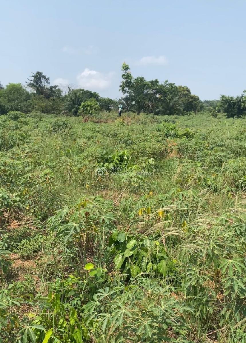 60 Acres Farm Land on Mountain, Adukrom, Akuapim North, Eastern Region, Mixed-use Land for Sale