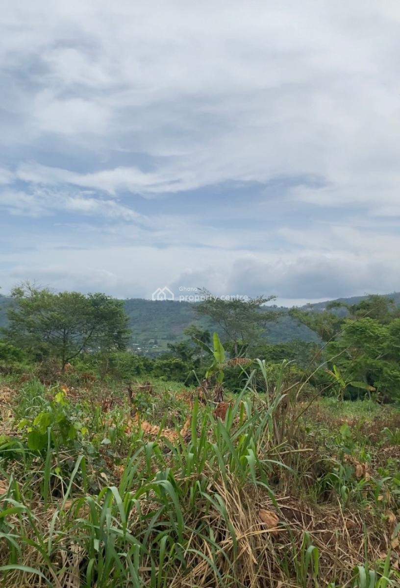 Registered 40 Acres Flat and Mountain Top Land Around Safari Valley,er, Adukrom, Akuapim North, Eastern Region, Mixed-use Land for Sale