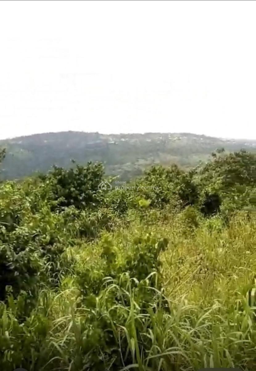 Registered 40 Acres Flat, Adukrom, Akuapim North, Eastern Region, Mixed-use Land for Sale
