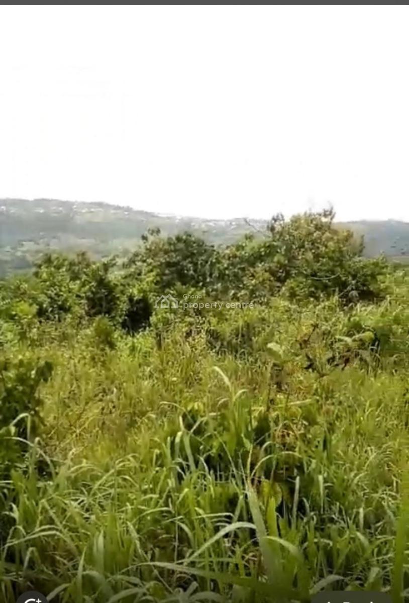 Registered 40 Acres Flat, Adukrom, Akuapim North, Eastern Region, Mixed-use Land for Sale