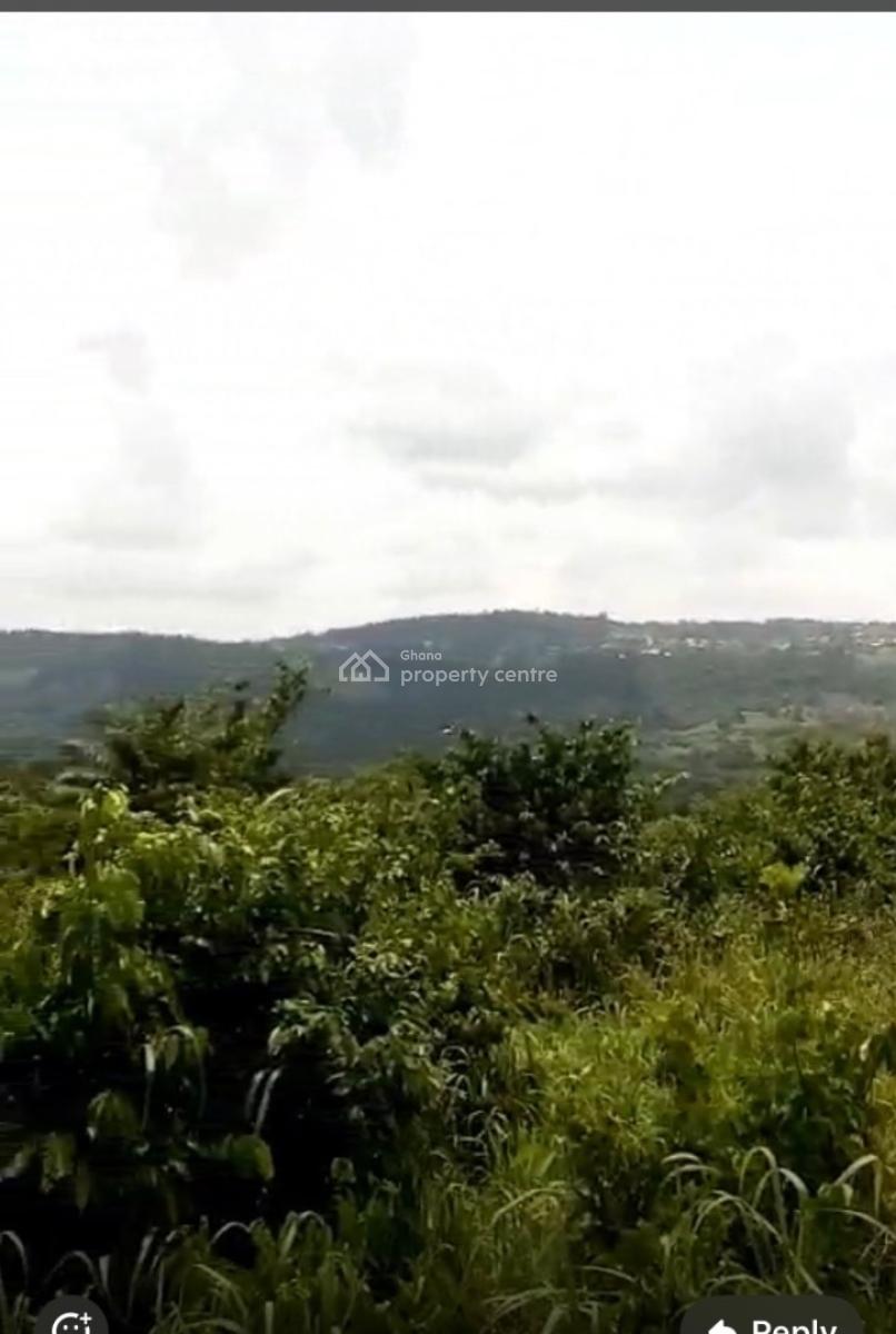 Registered 40 Acres Flat, Adukrom, Akuapim North, Eastern Region, Mixed-use Land for Sale