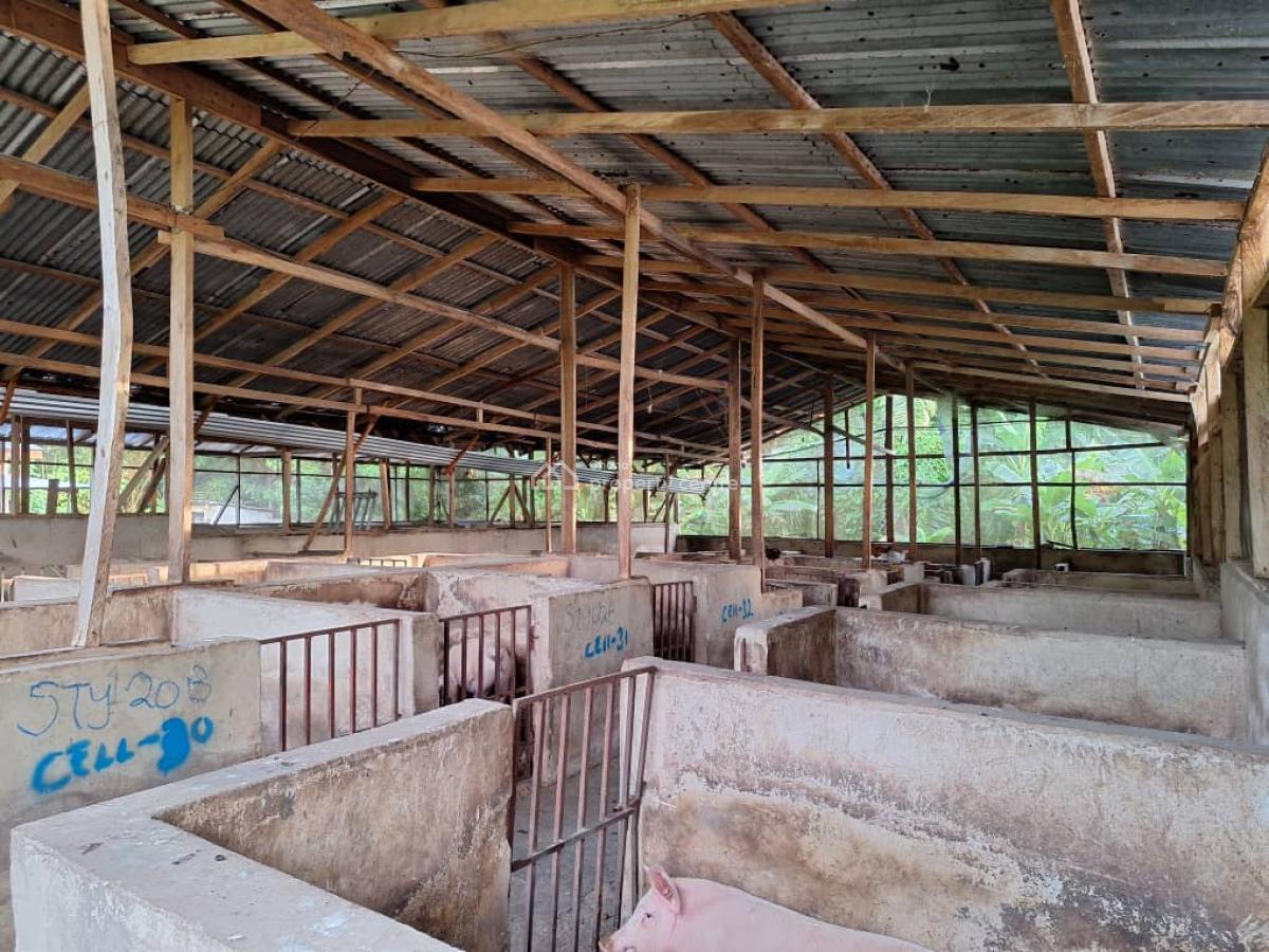 Fully Fitted Pig Farm House, Koforidua, Eastern Region, Mixed-use Land for Sale