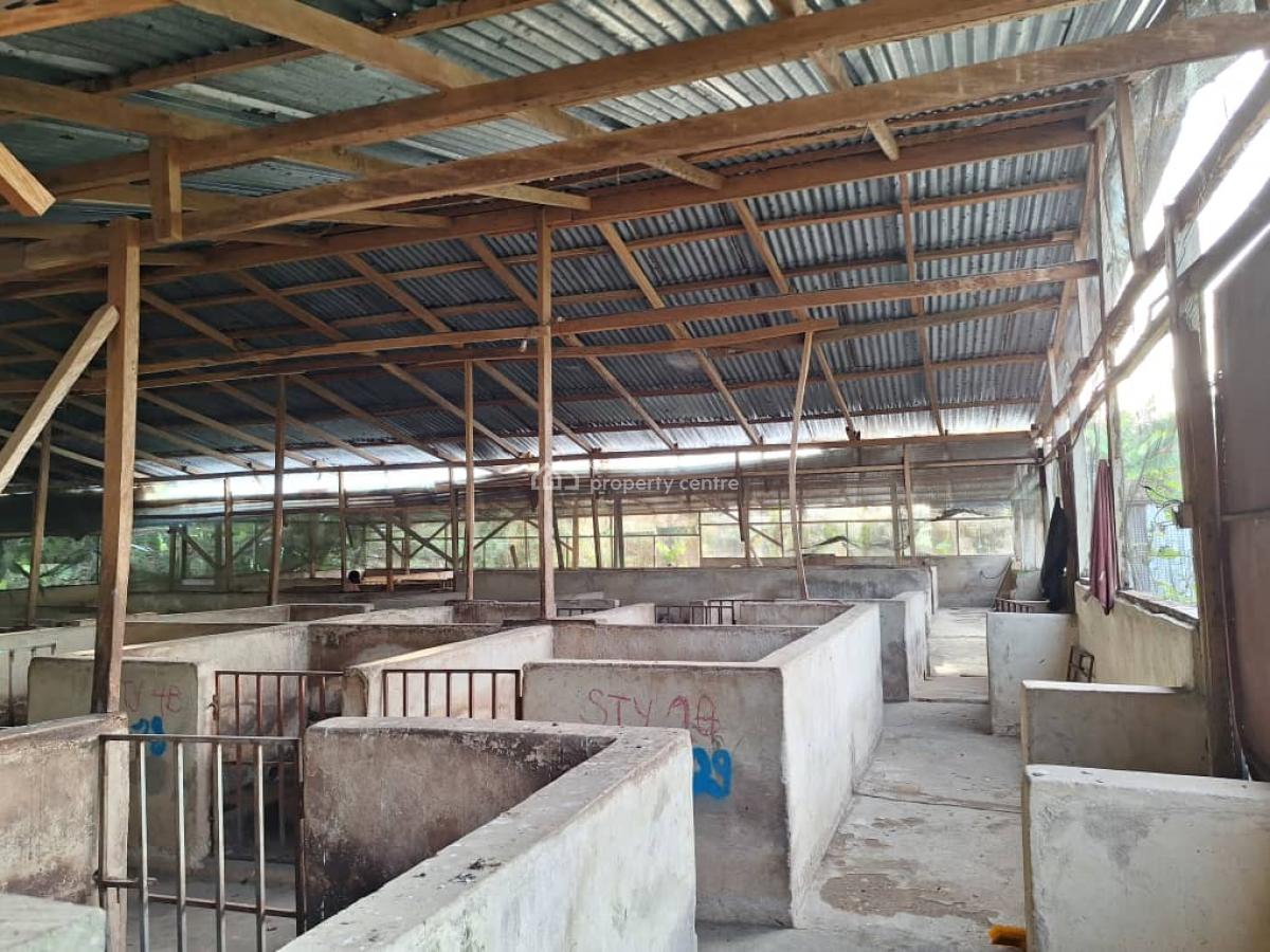 Fully Fitted Pig Farm House, Koforidua, Eastern Region, Mixed-use Land for Sale