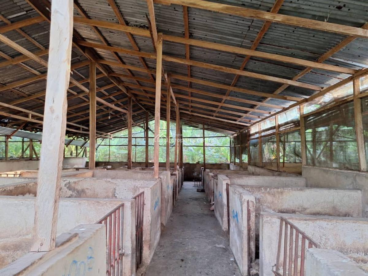 Fully Fitted Pig Farm House, Koforidua, Eastern Region, Mixed-use Land for Sale