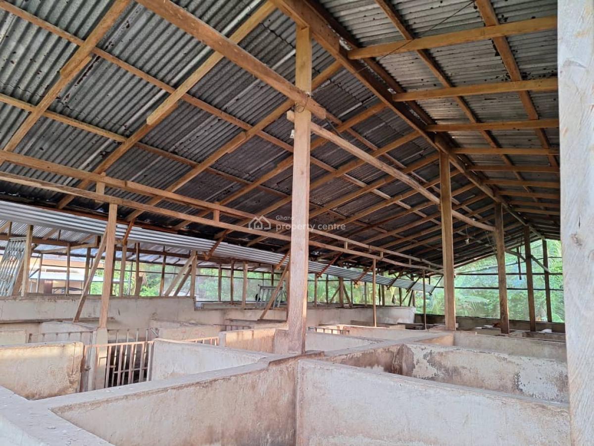 Fully Fitted Pig Farm House, Koforidua, Eastern Region, Mixed-use Land for Sale