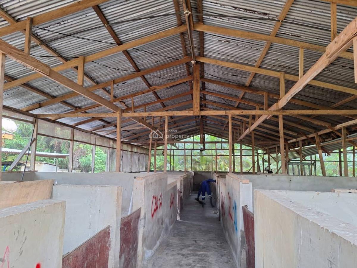 Fully Fitted Pig Farm House, Koforidua, Eastern Region, Mixed-use Land for Sale