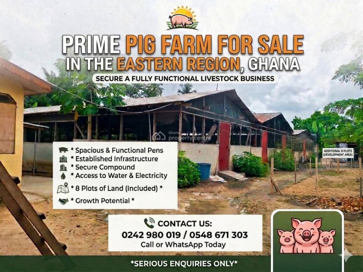 Fully Fitted Pig Farm House, Koforidua, Eastern Region, Mixed-use Land for Sale