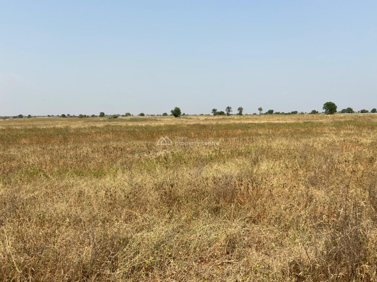 Titled Roadside Land  in Ada Koluedor  Accra--aflao Highway, Ada Koluedor, Ada Foah, Big Ada, Accra - Aflao Highways, Ada East, Accra, Commercial Land for Sale