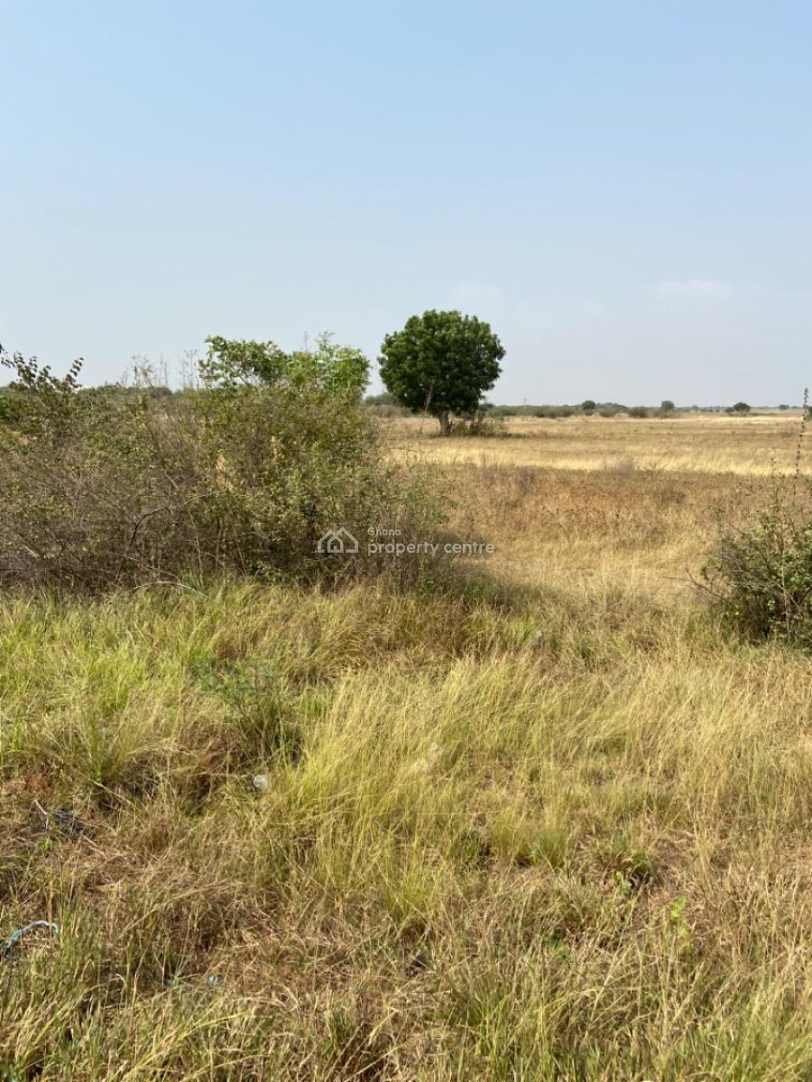 Titled Roadside Land  in Ada Koluedor  Accra--aflao Highway, Ada Koluedor, Ada Foah, Big Ada, Accra - Aflao Highways, Ada East, Accra, Commercial Land for Sale