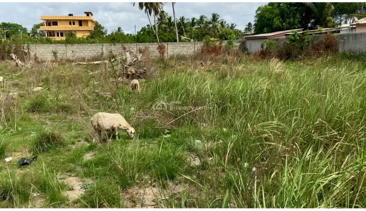 Roadside Land Available in Ada Foah, Ghana  Investment Plots, Ada Foah, Accra Ghana, Big Ada- Ada Foah Road, Ada East, Accra, Mixed-use Land for Sale