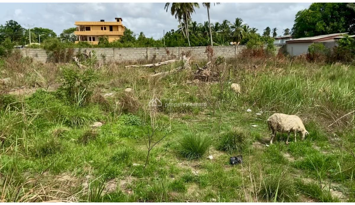 Roadside Land Available in Ada Foah, Ghana  Investment Plots, Ada Foah, Accra Ghana, Big Ada- Ada Foah Road, Ada East, Accra, Mixed-use Land for Sale