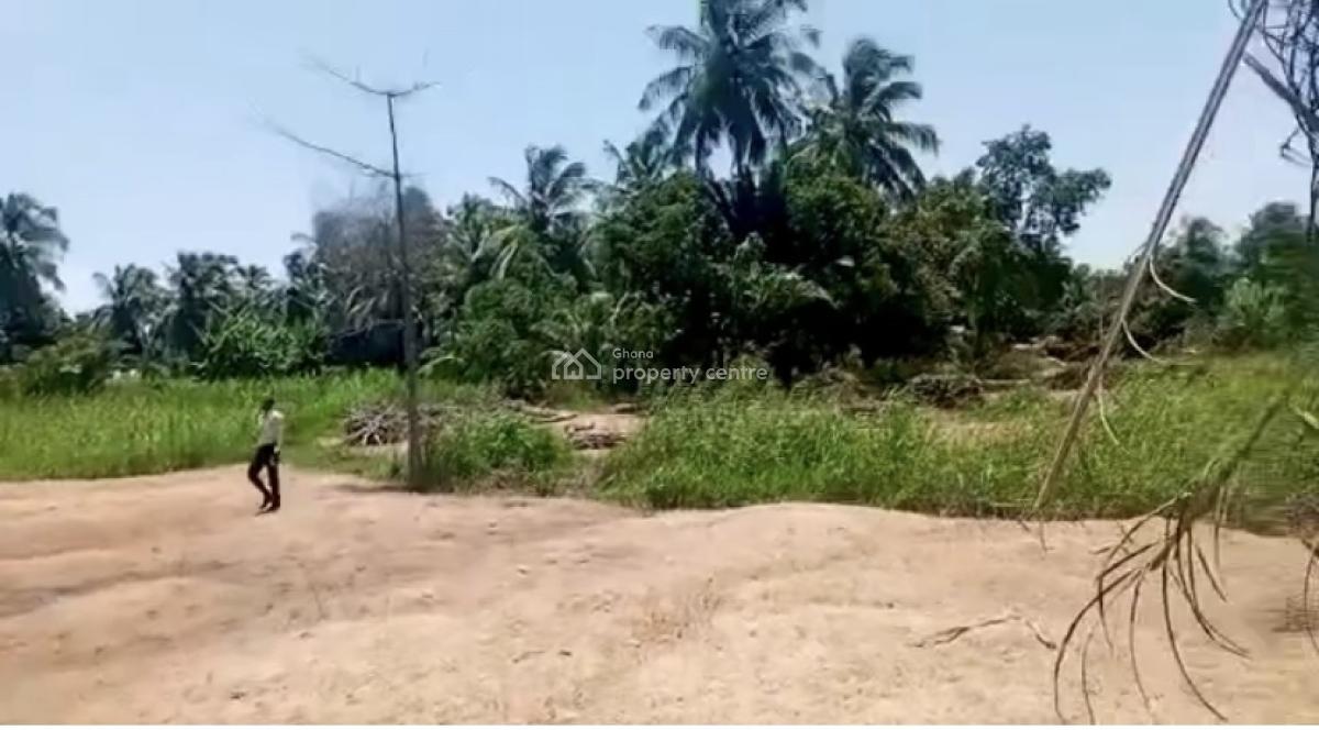 Waterfront Island Property, Big Ada, Ada Foah, Ada Anazome Angel, Aqua Safari, Ada East, Accra, Mixed-use Land for Sale