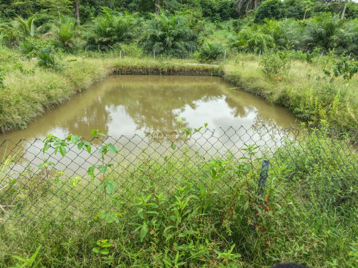 Fish Pond Farm        ( on 4 Acres Land ) Road Side, Kumasi Nyinahin Road., Atwima Mponua, Ashanti, Tank Farm for Sale
