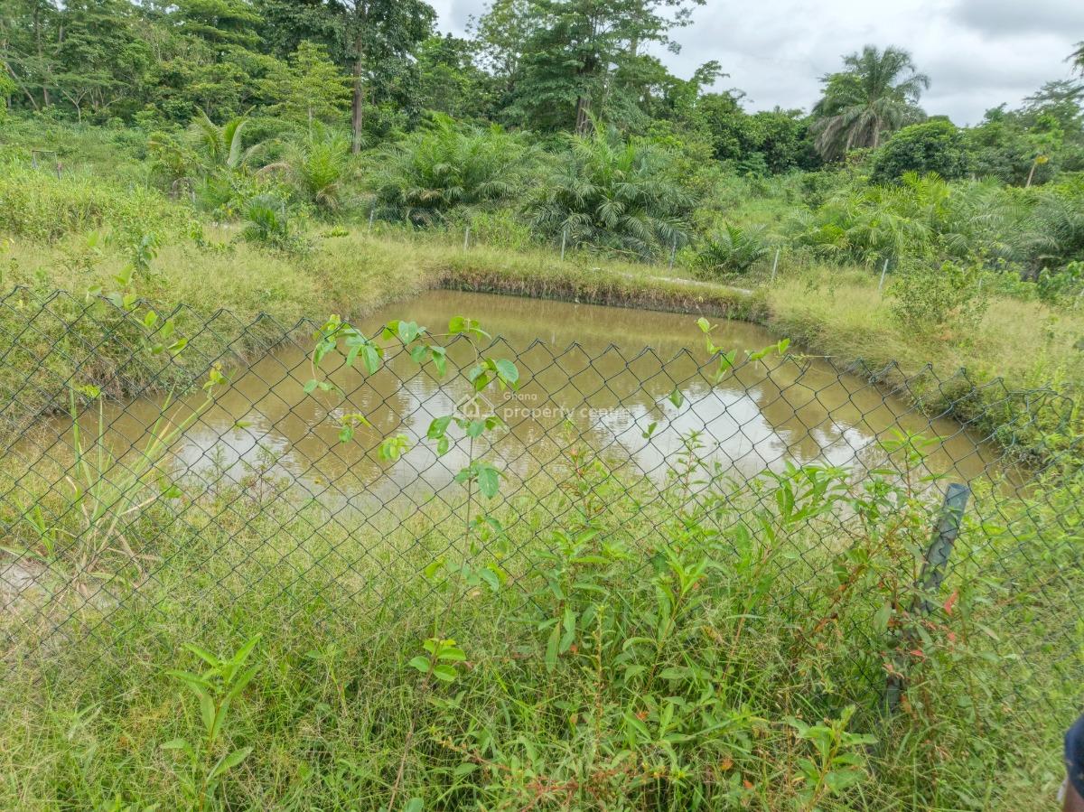 Fish Pond Farm        ( on 4 Acres Land ) Road Side, Kumasi Nyinahin Road., Atwima Mponua, Ashanti, Tank Farm for Sale