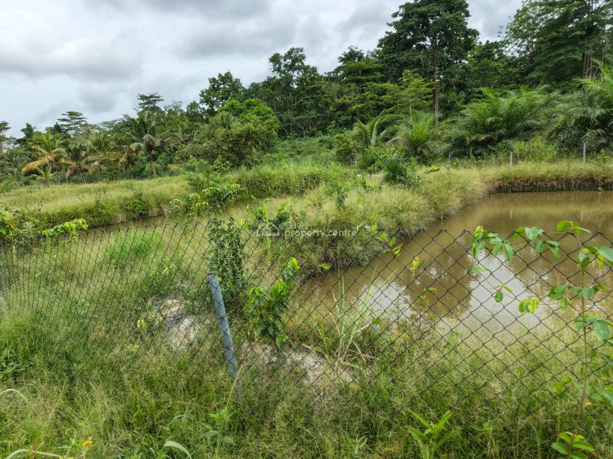 Fish Pond Farm        ( on 4 Acres Land ) Road Side, Kumasi Nyinahin Road., Atwima Mponua, Ashanti, Tank Farm for Sale