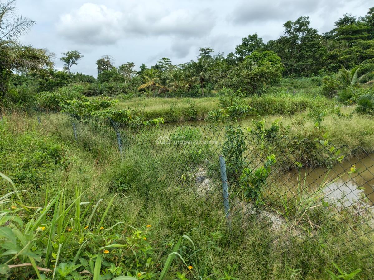 Fish Pond Farm        ( on 4 Acres Land ) Road Side, Kumasi Nyinahin Road., Atwima Mponua, Ashanti, Tank Farm for Sale