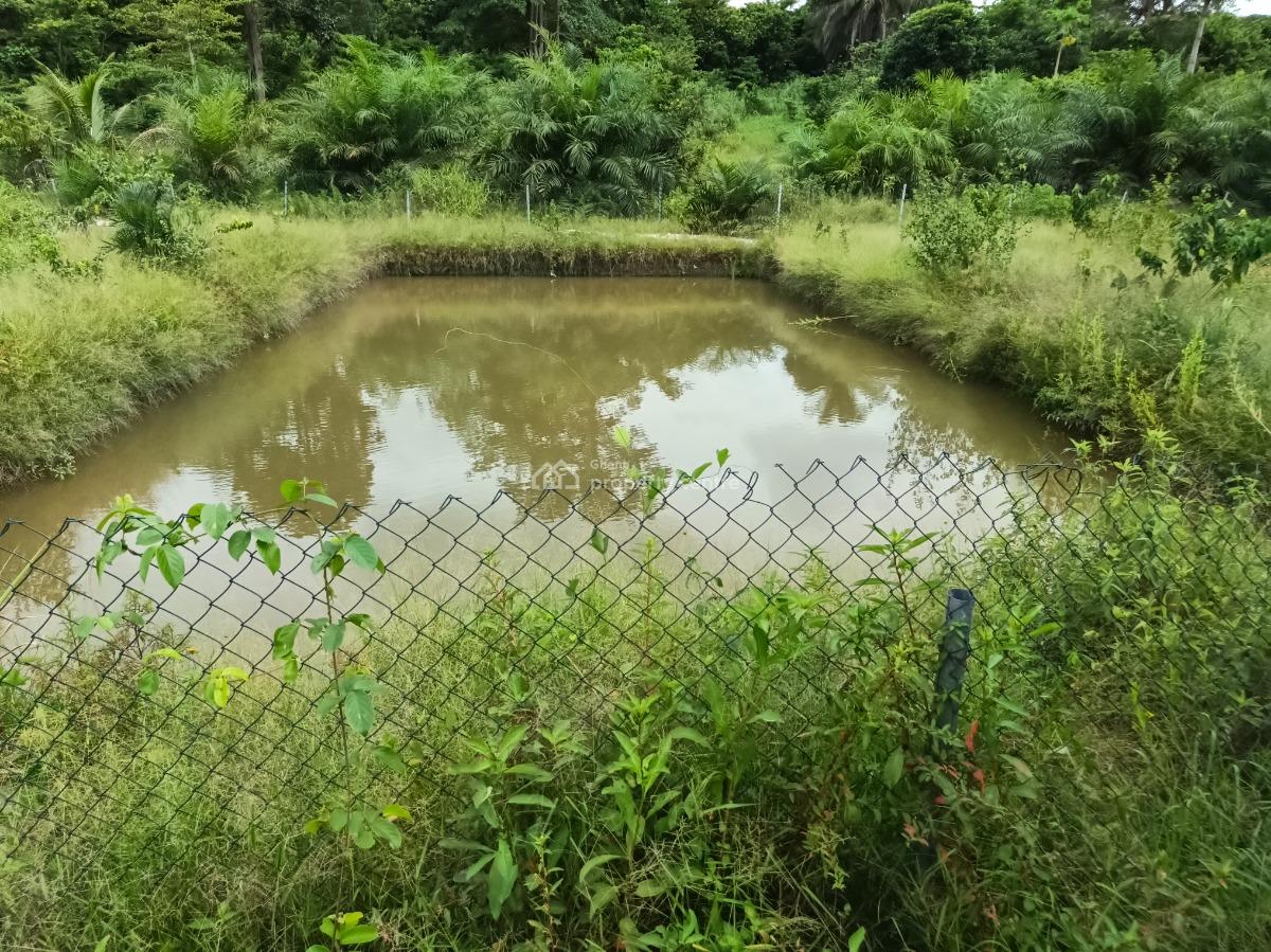 Fish Pond Farm        ( on 4 Acres Land ) Road Side, Kumasi Nyinahin Road., Atwima Mponua, Ashanti, Tank Farm for Sale