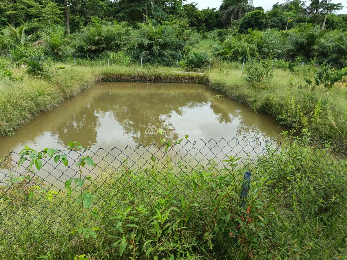 Fish Pond Farm        ( on 4 Acres Land ) Road Side, Kumasi Nyinahin Road., Atwima Mponua, Ashanti, Tank Farm for Sale