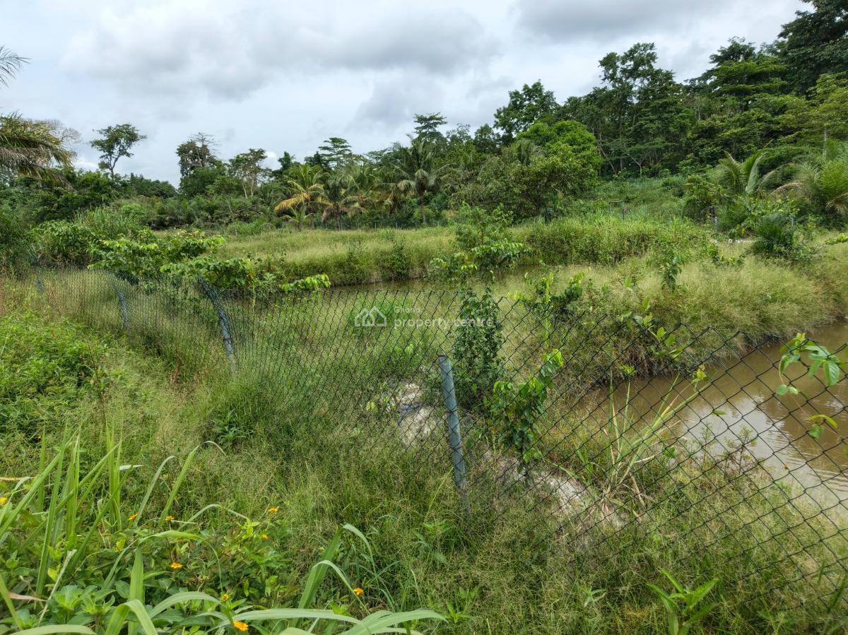 Fish Pond Farm        ( on 4 Acres Land ) Road Side, Kumasi Nyinahin Road., Atwima Mponua, Ashanti, Tank Farm for Sale