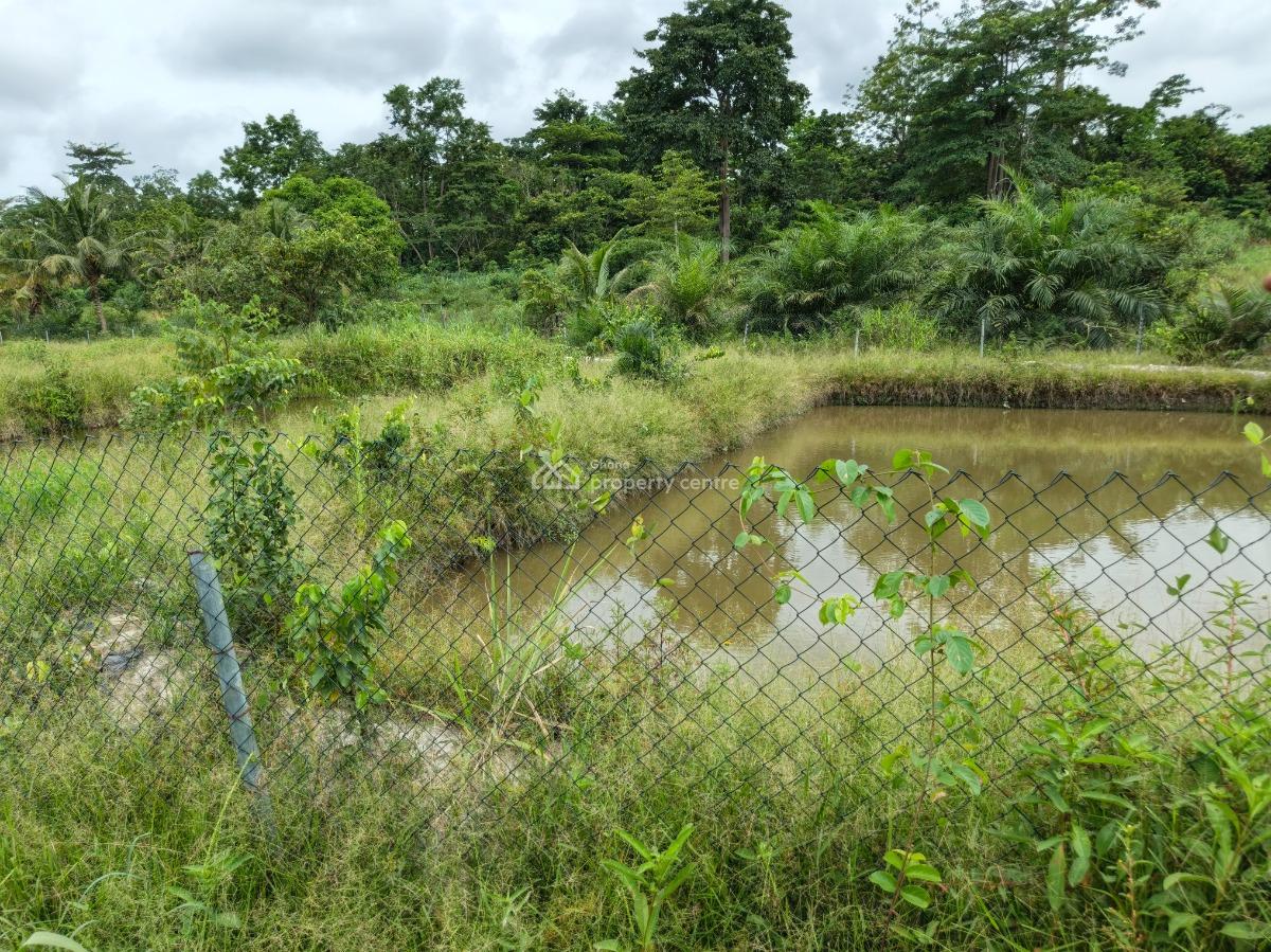 Fish Pond Farm        ( on 4 Acres Land ) Road Side, Kumasi Nyinahin Road., Atwima Mponua, Ashanti, Tank Farm for Sale