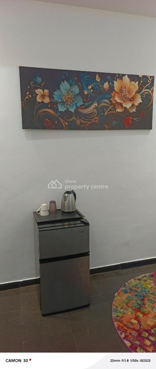 Studio Apartment, Seekers Realty, Osu, Accra, Mini Flat for Rent