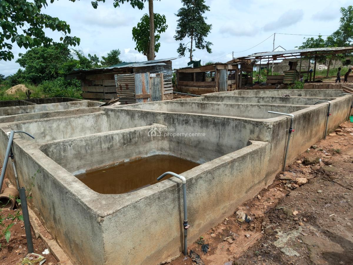 Fish Farm      ( with 2 Bedrooms House), Nyinahin, Abuakwa Bibiani Road, Kumasi Metropolitan, Ashanti, Tank Farm for Sale