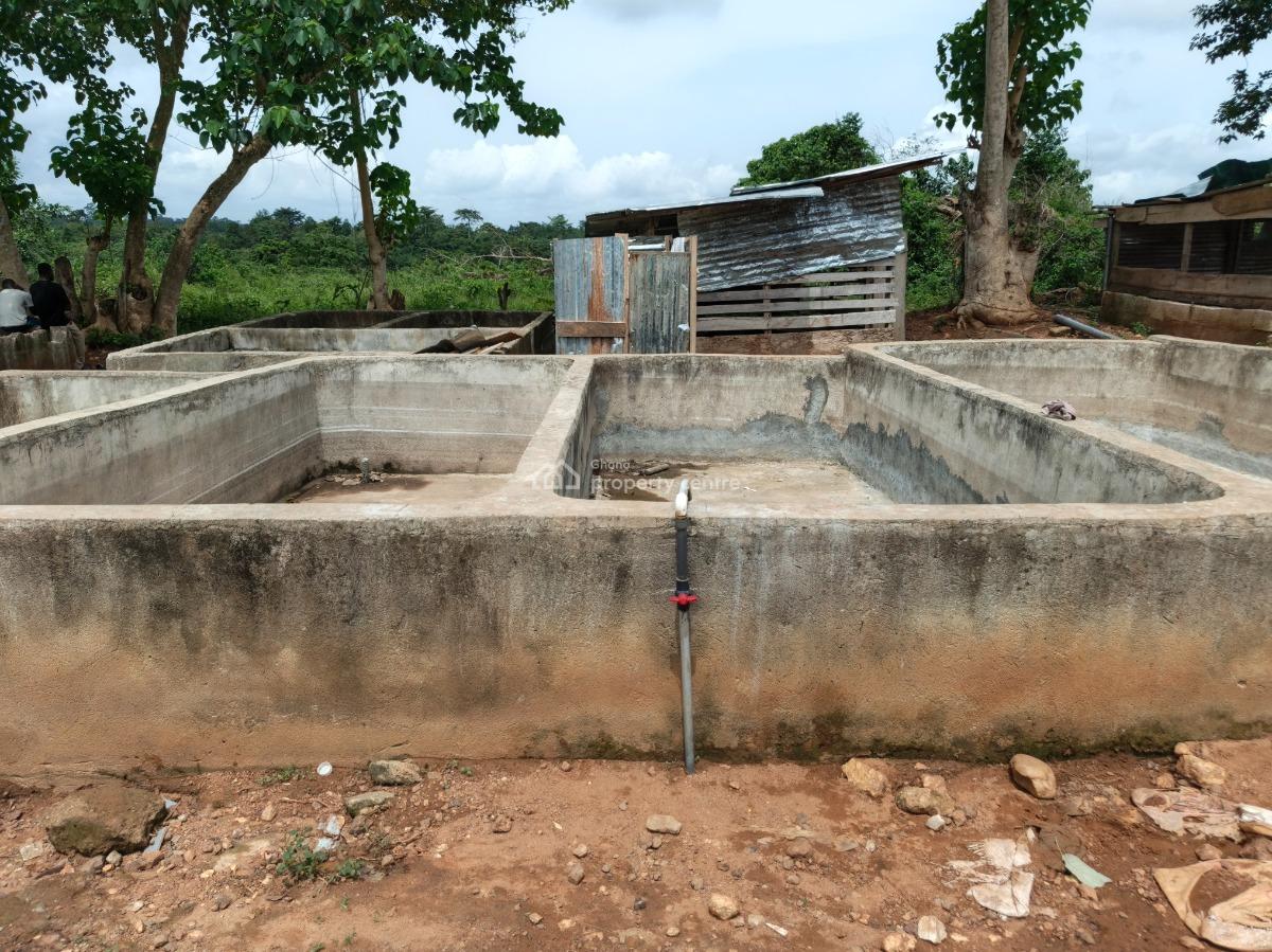 Fish Farm      ( with 2 Bedrooms House), Nyinahin, Abuakwa Bibiani Road, Kumasi Metropolitan, Ashanti, Tank Farm for Sale