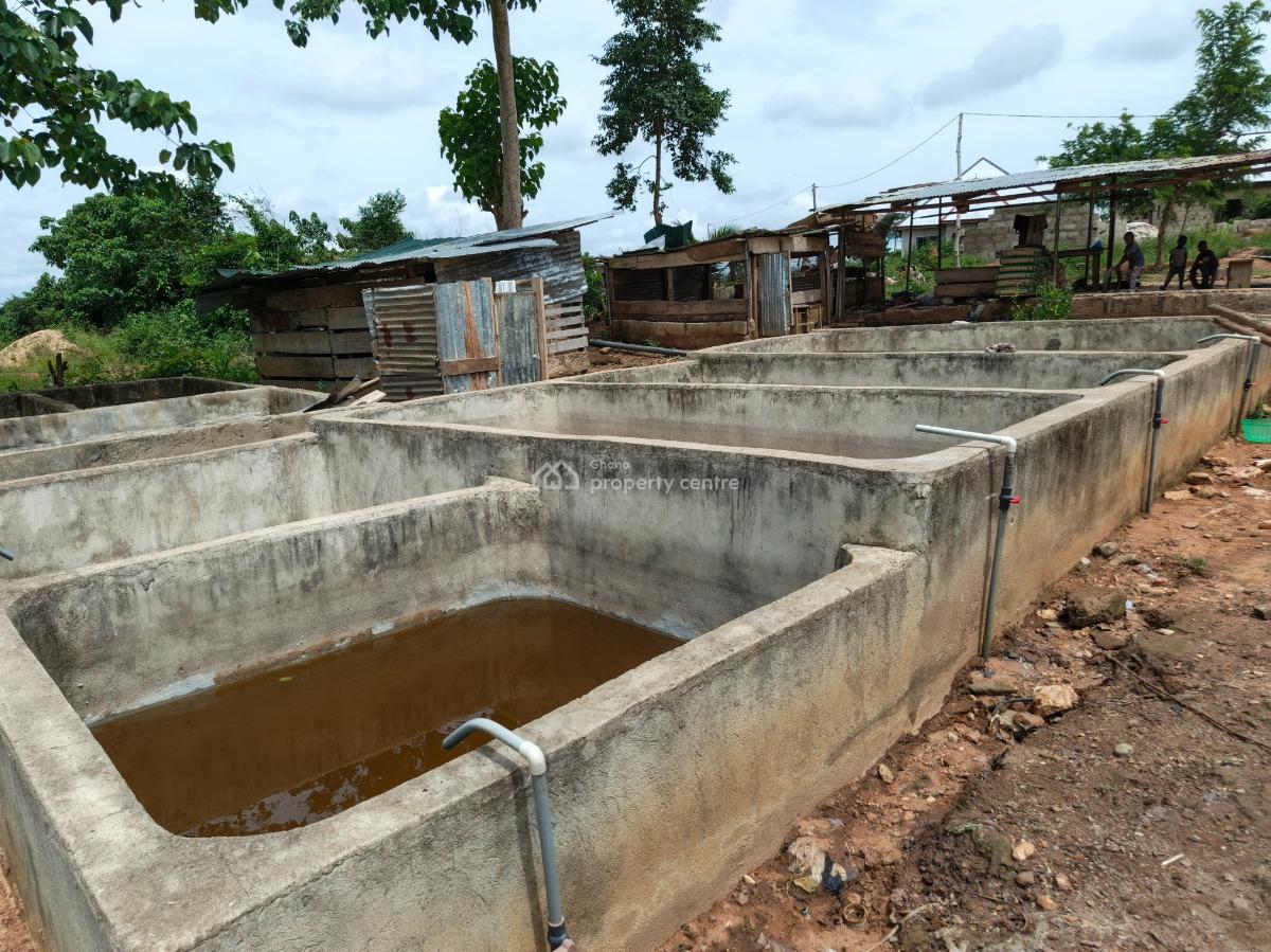 Fish Farm      ( with 2 Bedrooms House), Nyinahin, Abuakwa Bibiani Road, Kumasi Metropolitan, Ashanti, Tank Farm for Sale