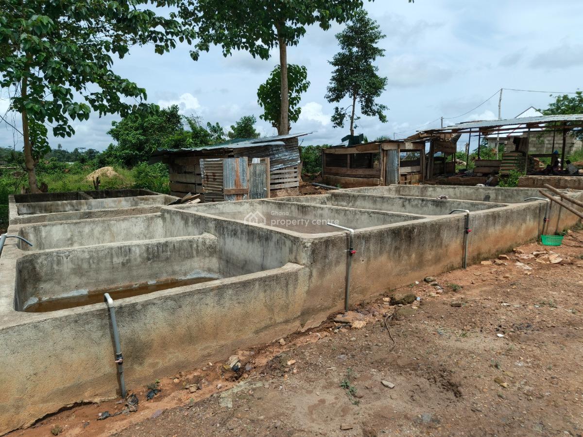 Fish Farm      ( with 2 Bedrooms House), Nyinahin, Abuakwa Bibiani Road, Kumasi Metropolitan, Ashanti, Tank Farm for Sale
