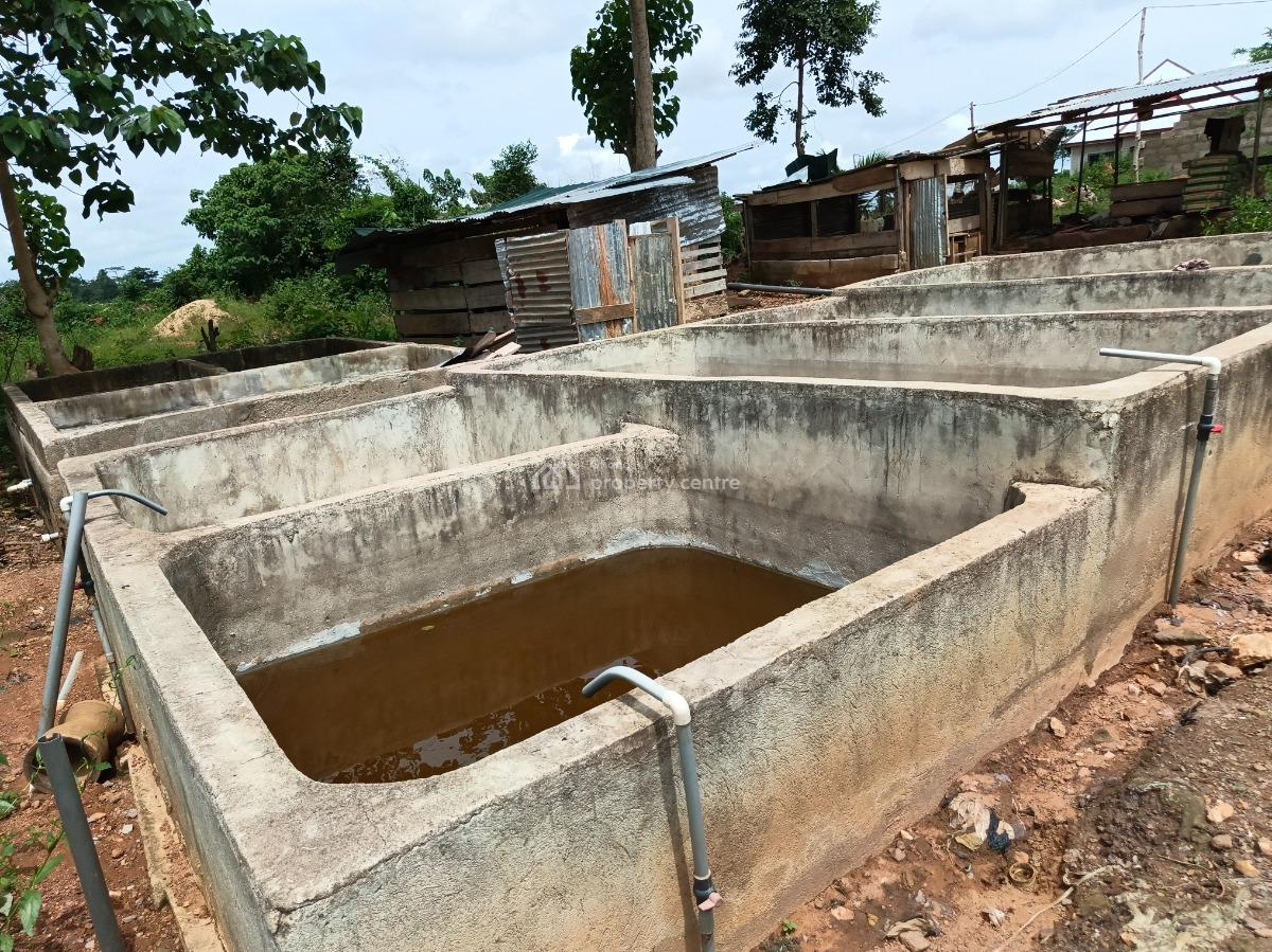 Fish Farm      ( with 2 Bedrooms House), Nyinahin, Abuakwa Bibiani Road, Kumasi Metropolitan, Ashanti, Tank Farm for Sale