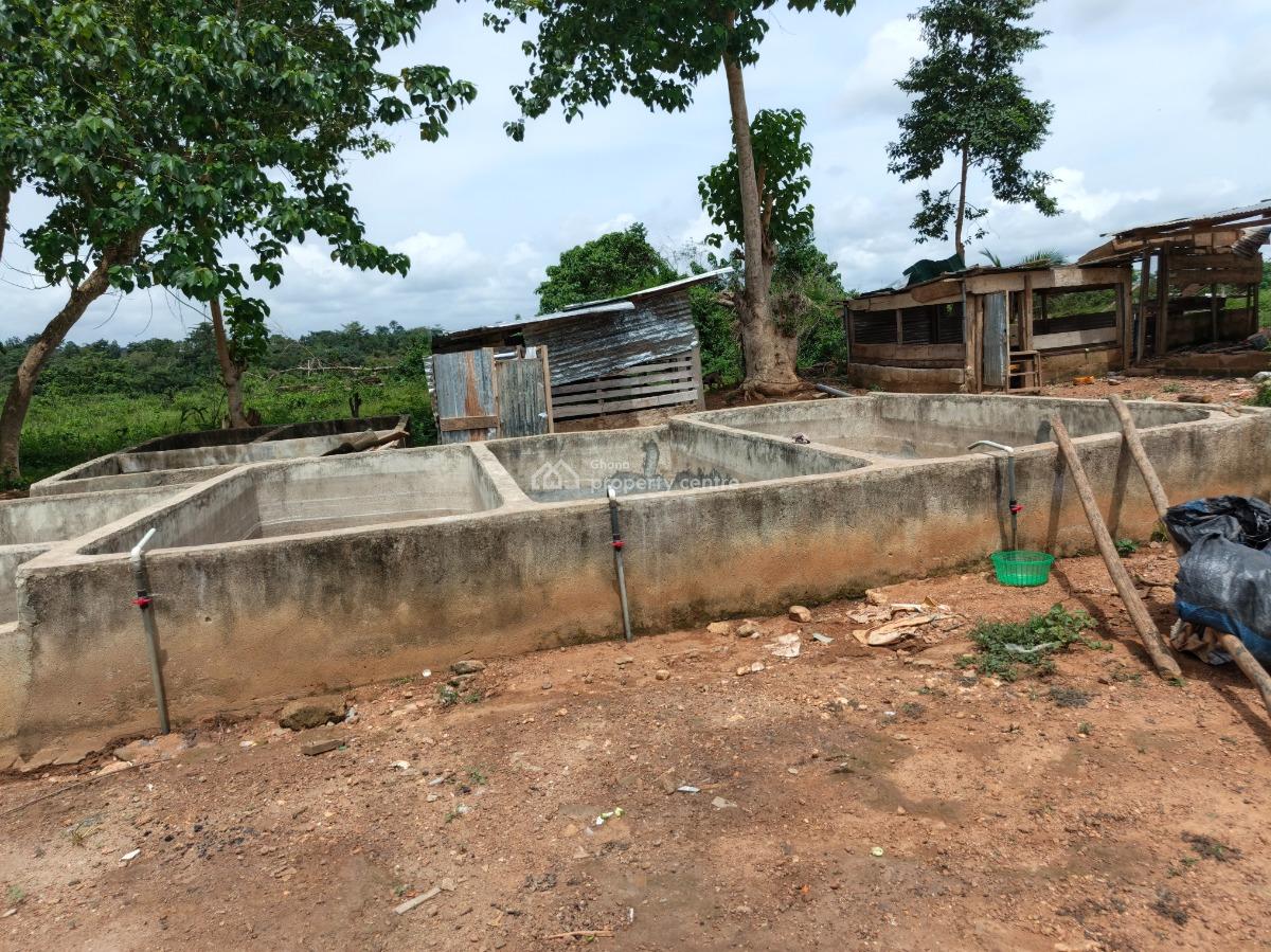 Fish Farm      ( with 2 Bedrooms House), Nyinahin, Abuakwa Bibiani Road, Kumasi Metropolitan, Ashanti, Tank Farm for Sale