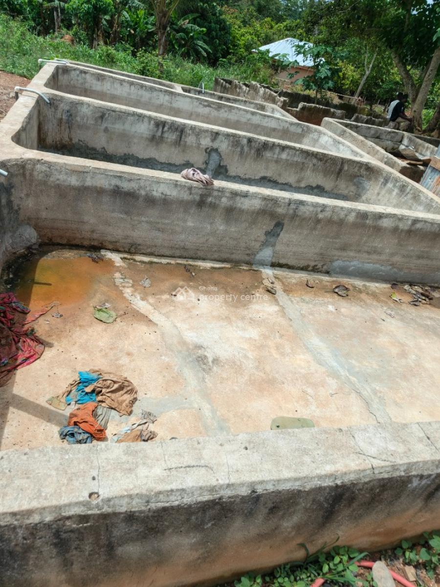 Fish Farm      ( with 2 Bedrooms House), Nyinahin, Abuakwa Bibiani Road, Kumasi Metropolitan, Ashanti, Tank Farm for Sale