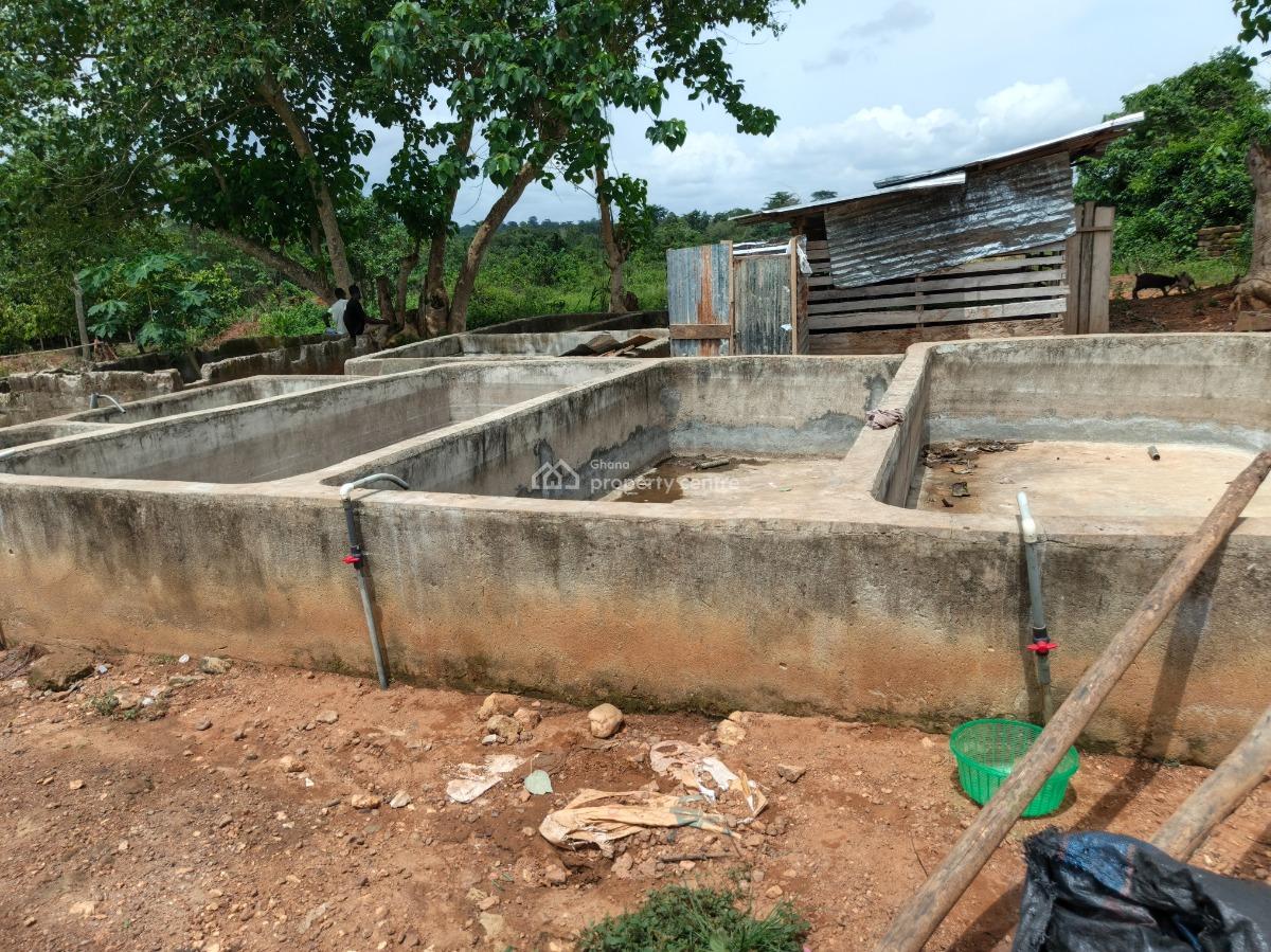 Fish Farm      ( with 2 Bedrooms House), Nyinahin, Abuakwa Bibiani Road, Kumasi Metropolitan, Ashanti, Tank Farm for Sale