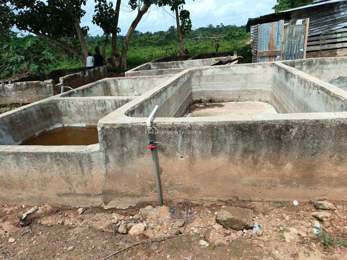 Fish Farm      ( with 2 Bedrooms House), Nyinahin, Abuakwa Bibiani Road, Kumasi Metropolitan, Ashanti, Tank Farm for Sale