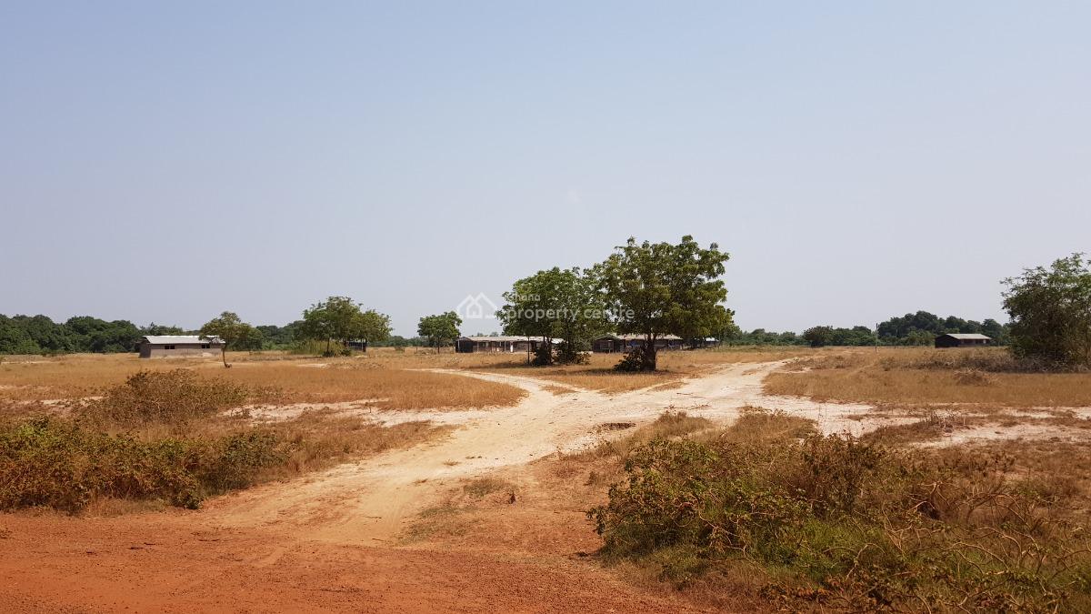 Spacious  70x100ft Plot, Perfect Location, Dawhenya, Accra Metropolitan, Accra, Residential Land for Sale