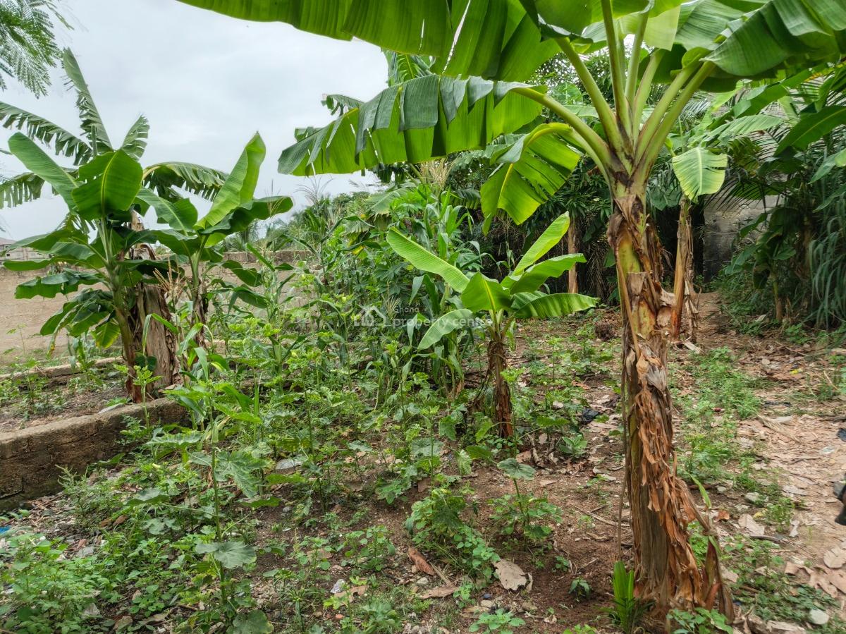 Plot, Ayeduase/ Twumduase, Near Knust., Kumasi Metropolitan, Ashanti, Residential Land for Sale