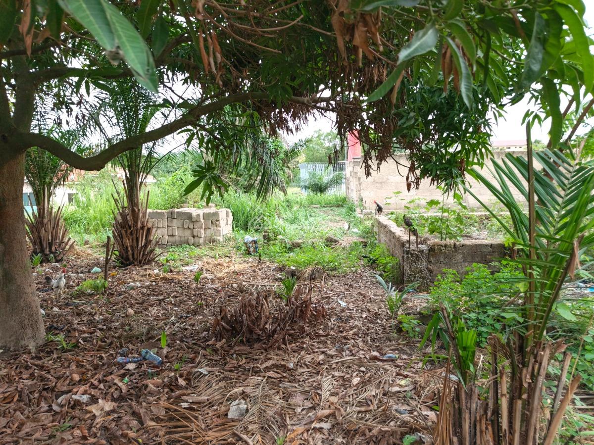 Hostel Plot/ Land., Between Ayeduase and Kotei,twumduase, Knust., Kumasi Metropolitan, Ashanti, Commercial Land for Sale