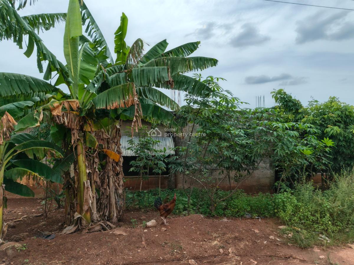 5 Plots.      ( Hostel Plot, Knust), Ayeduase/ Kotei. Knust., Kumasi Metropolitan, Ashanti, Land for Sale