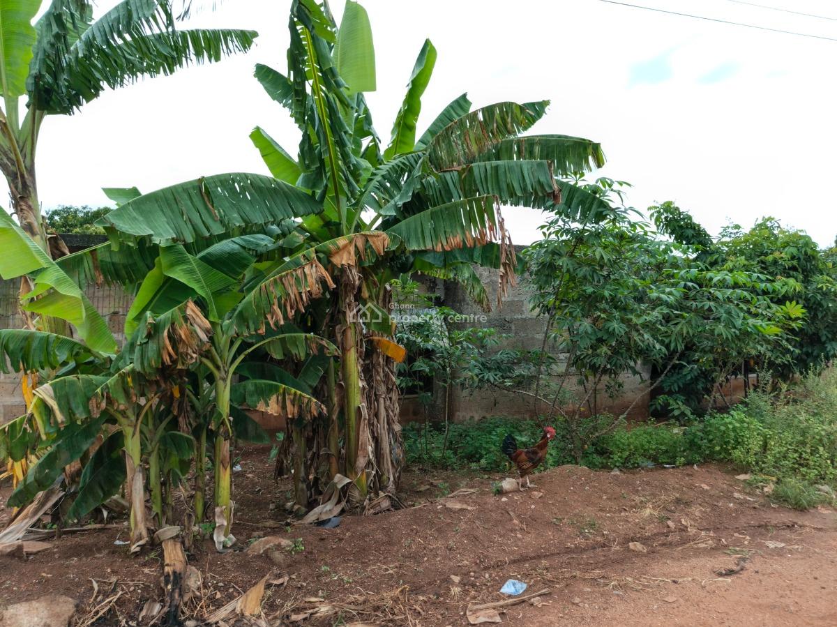 5 Plots.      ( Hostel Plot, Knust), Ayeduase/ Kotei. Knust., Kumasi Metropolitan, Ashanti, Land for Sale