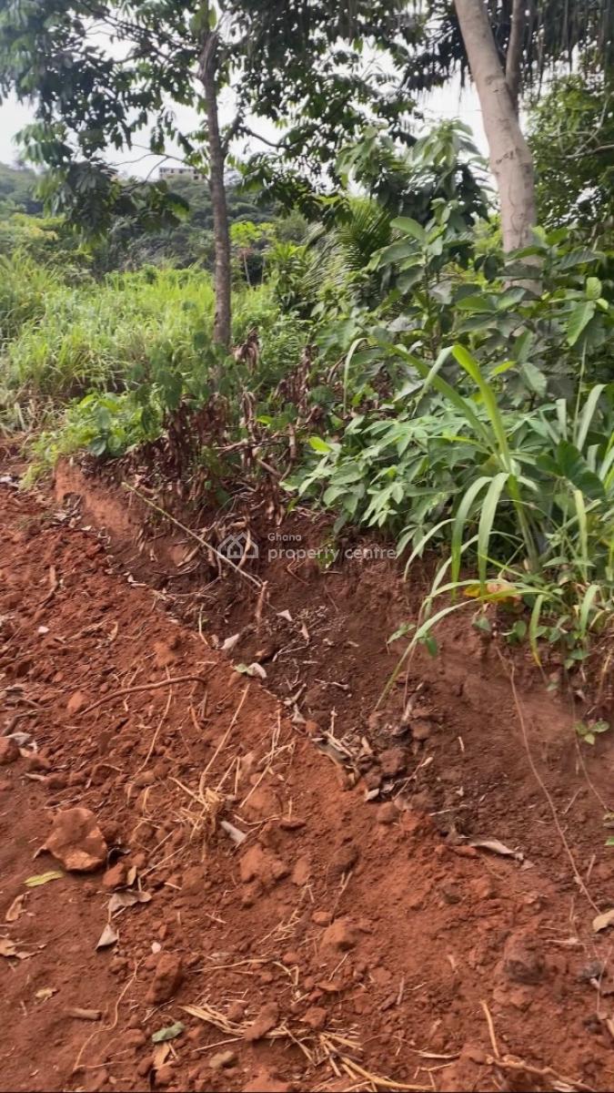 20 Plots Just Behind Safari Valley Eco-park,adukrom-eastern Region, Adukrom- Safari Valley Eco Park, Akuapim North, Eastern Region, Mixed-use Land for Sale