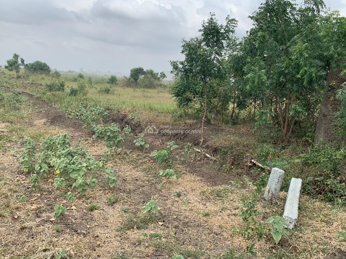 Perfect Size for Residential Living 70 X 100ft, Dawhenya, Accra Metropolitan, Accra, Residential Land for Sale