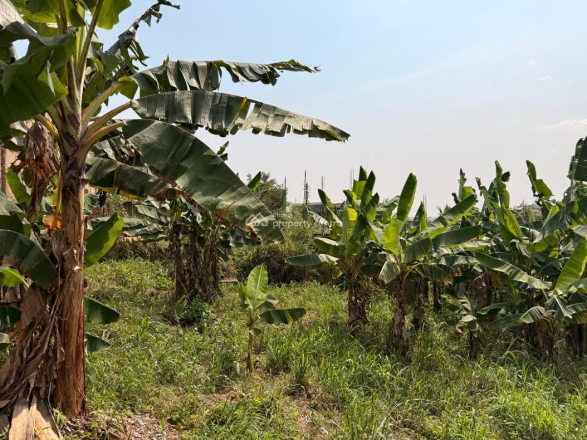 One Plot of Title Land, Ashongman Hills ,/, Ga East Municipal, Accra, Residential Land for Sale