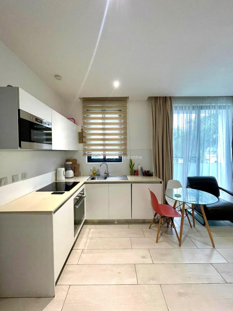 Executive  Furnished Studio with Your Own Little Sky Corner, Cantonments, Accra, Apartment for Sale